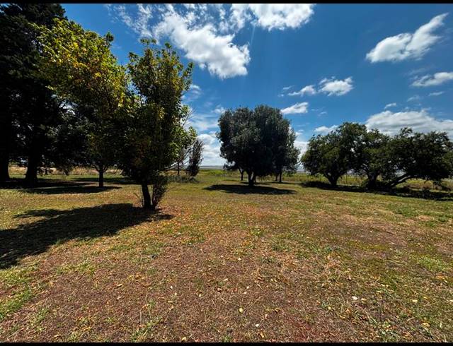 BUSINESS FOR SALE IN GROBLERSDAL